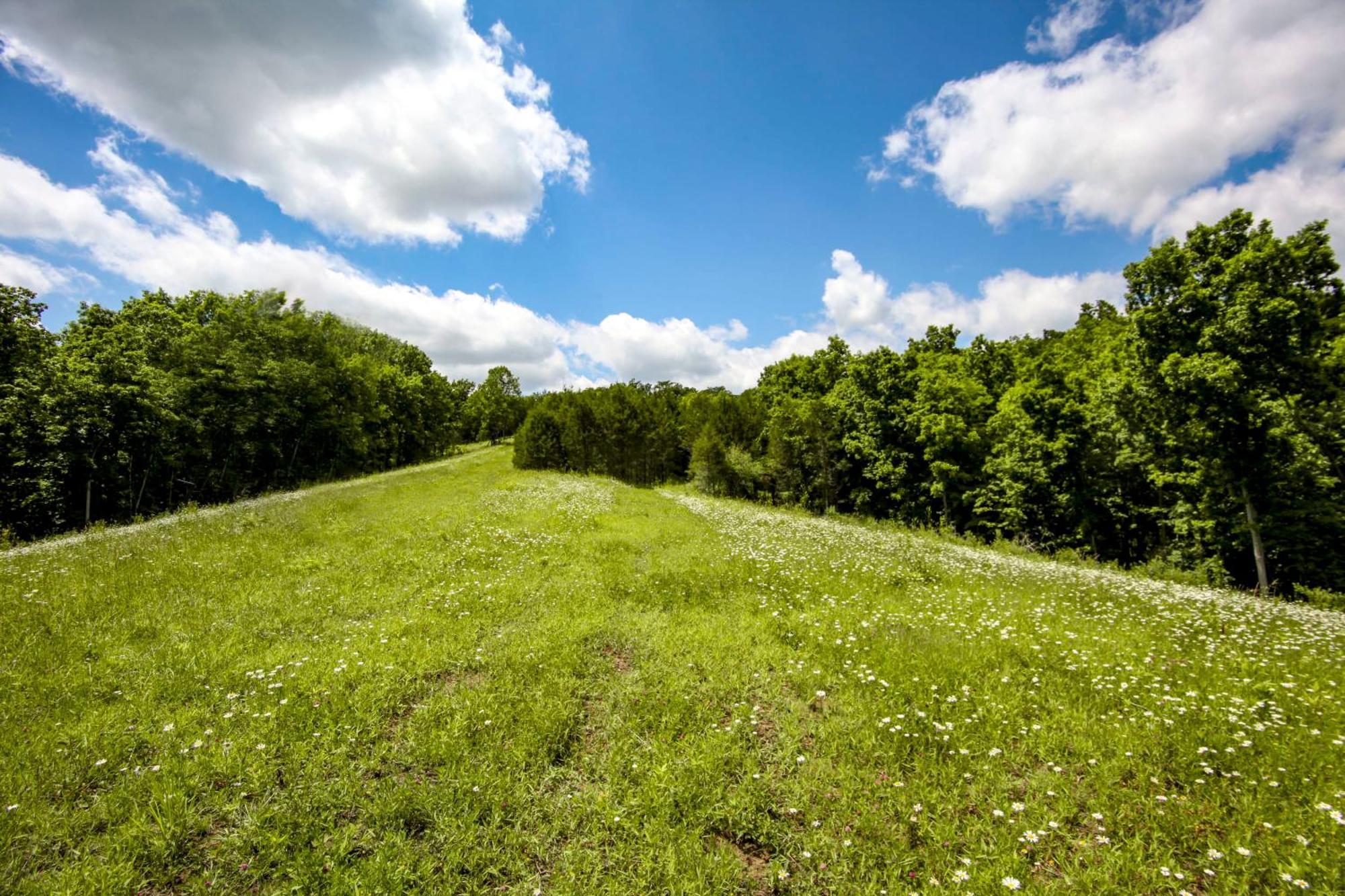 80 Acre Retreat With Pool - Minutes To Ark - Sleeps 15 Vila Williamstown Exterior foto